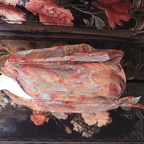 2X Sheer Riz and Ali blouse - Picture 2 of 4